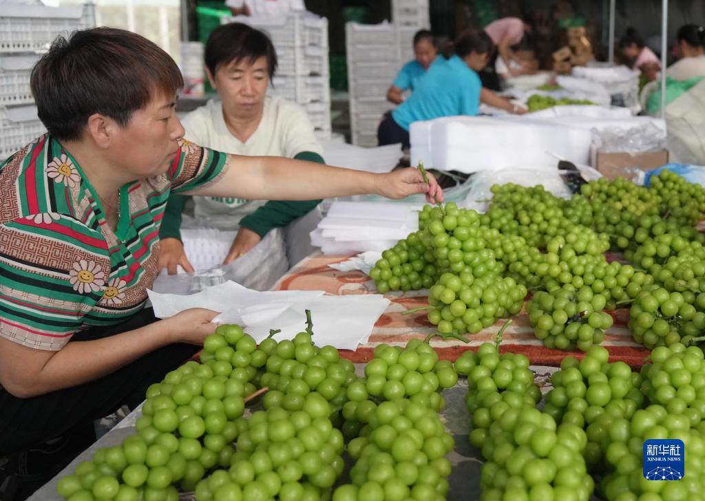 深圳星辰娱乐